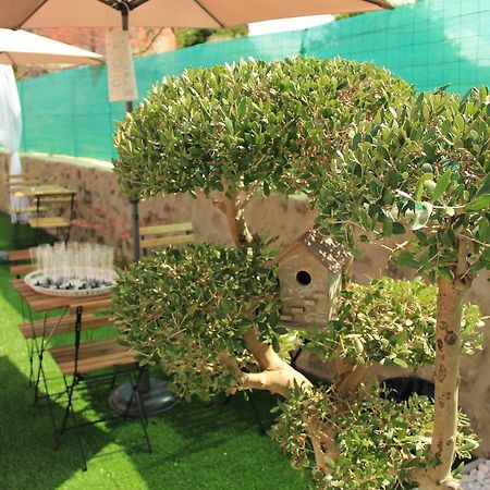 نزل براغافي Amelia'S House المظهر الخارجي الصورة