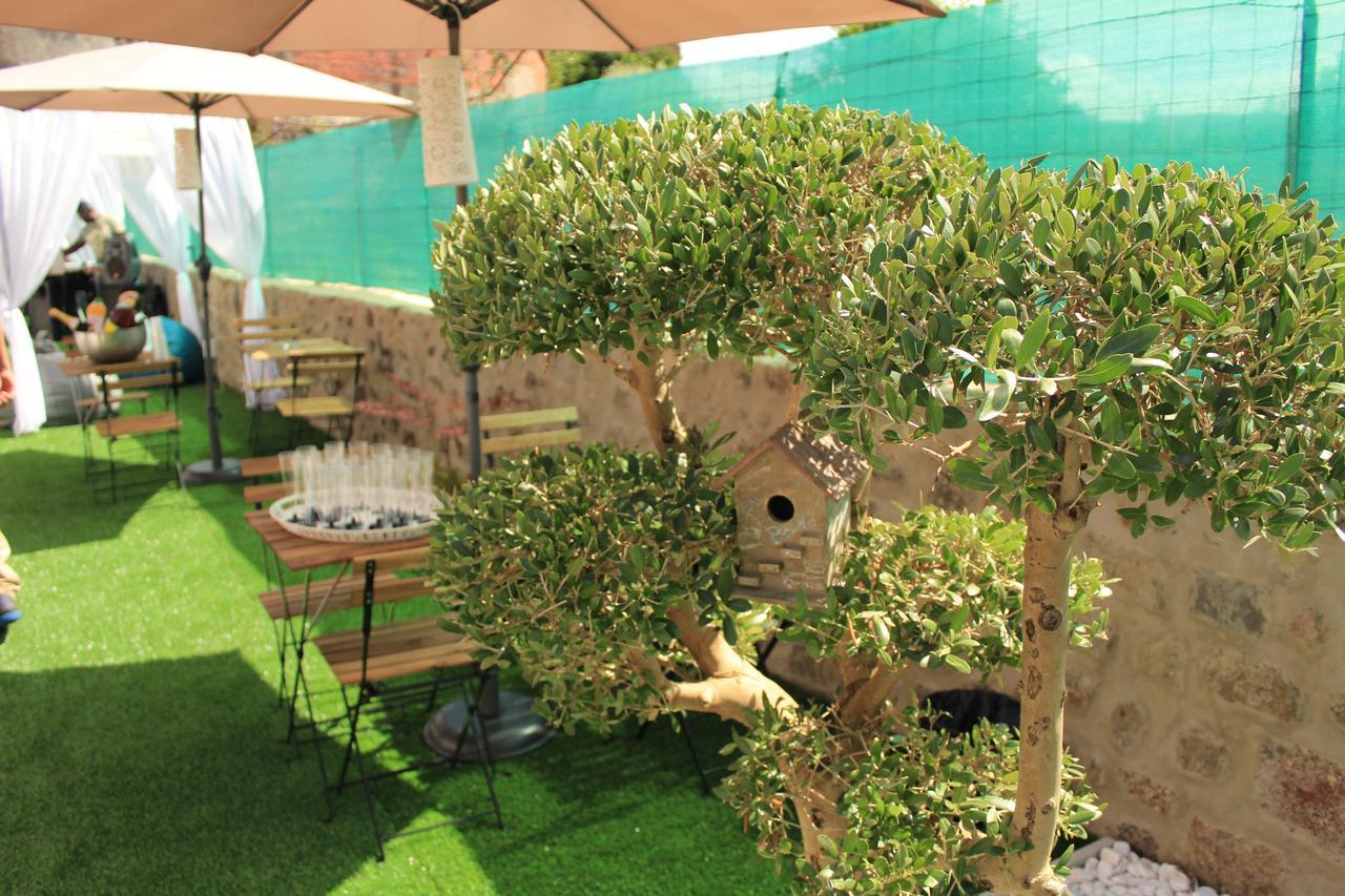 نزل براغافي Amelia'S House المظهر الخارجي الصورة